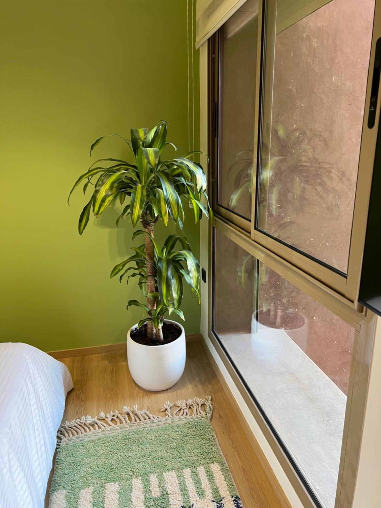 Luxe Appartement A Louer Pour Les Familles Marrakesch Exterior foto